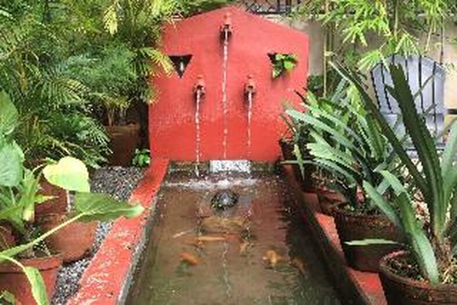 foto-2