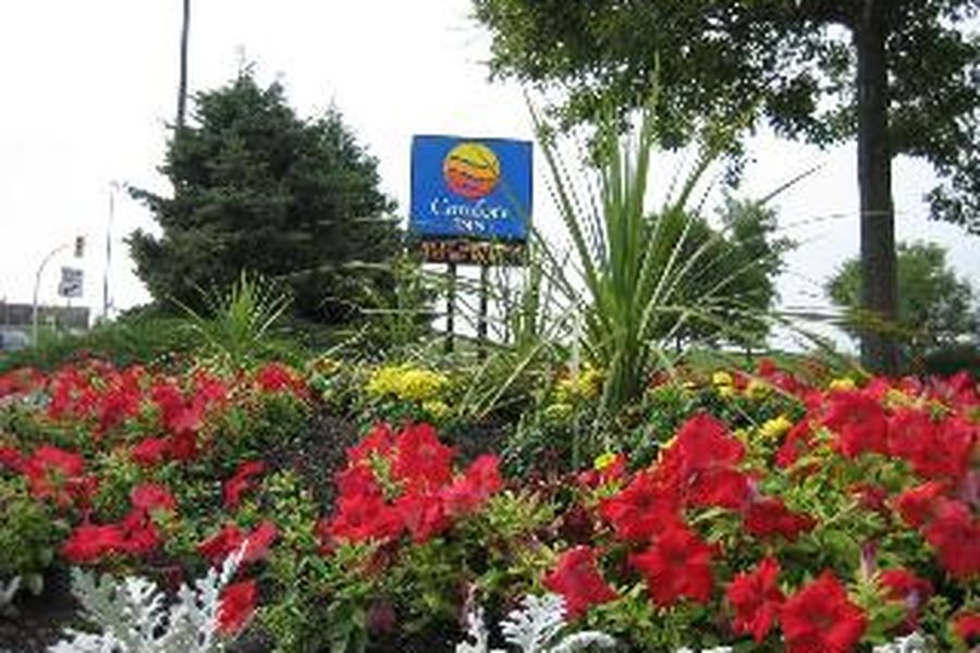 photo-1