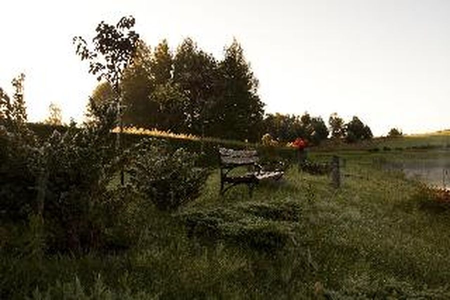foto-0