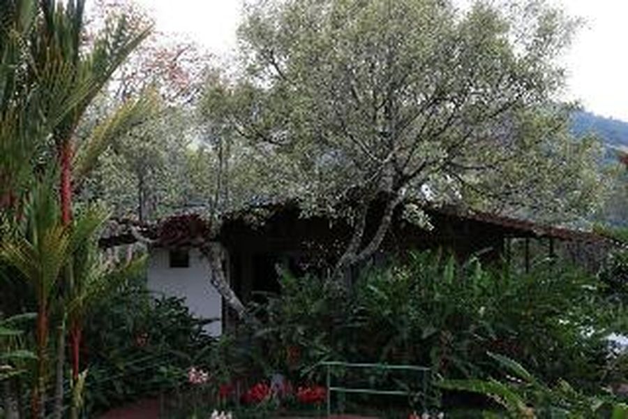 foto-1