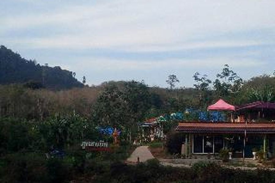 foto-0