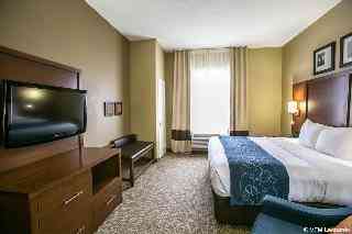 Comfort Suites Willowbrook Houston Hurb