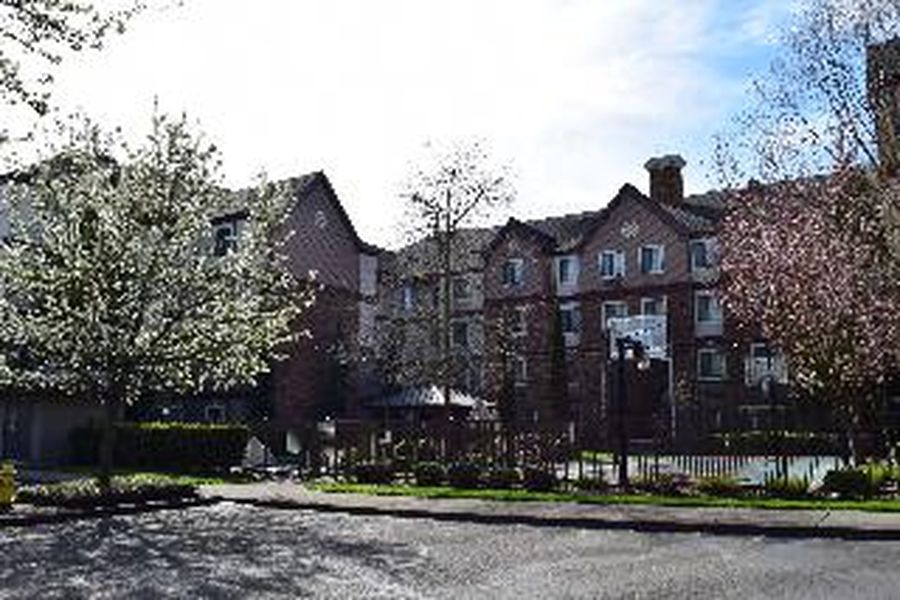 photo-3