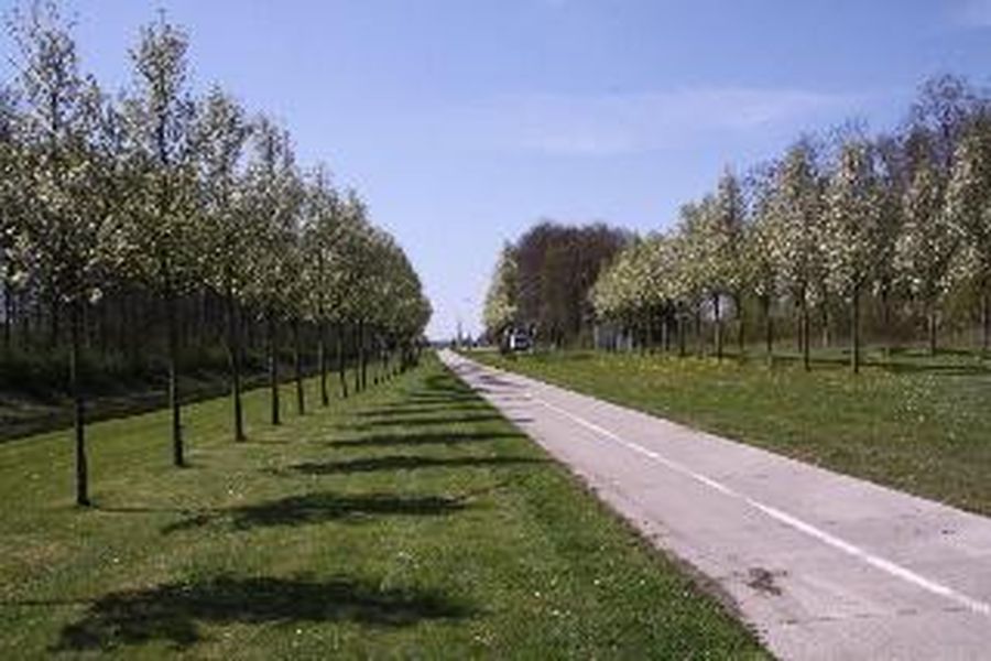 foto-3