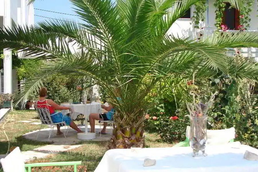 foto-1