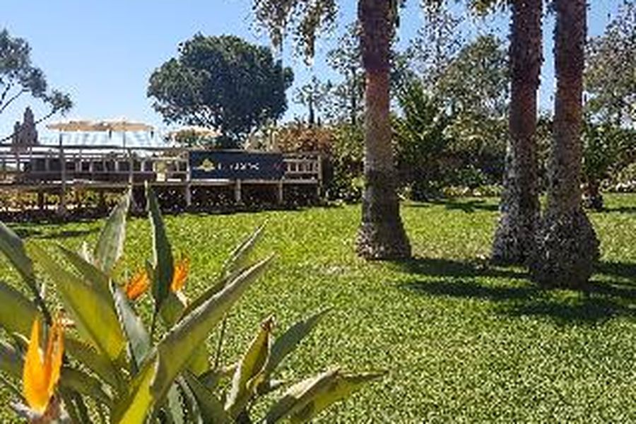 photo-2