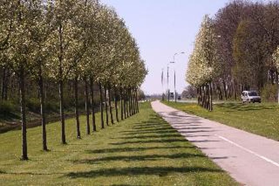 photo-2