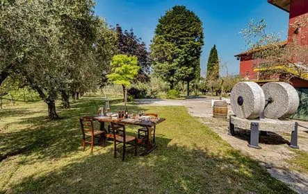 Aperitivo no lagar com degustação de azeite no Lago de Garda