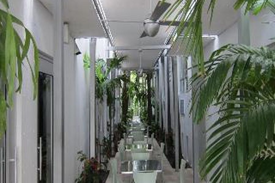 foto-1