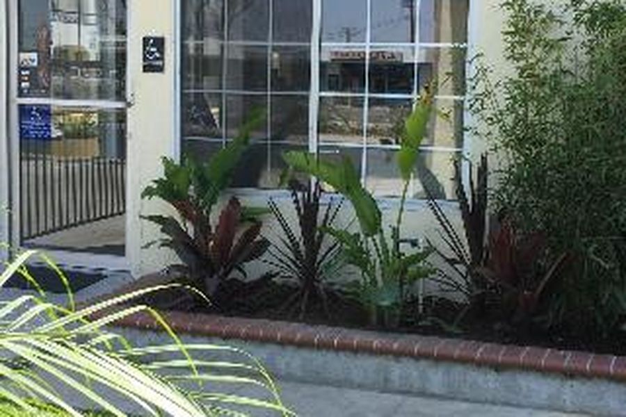 foto-3