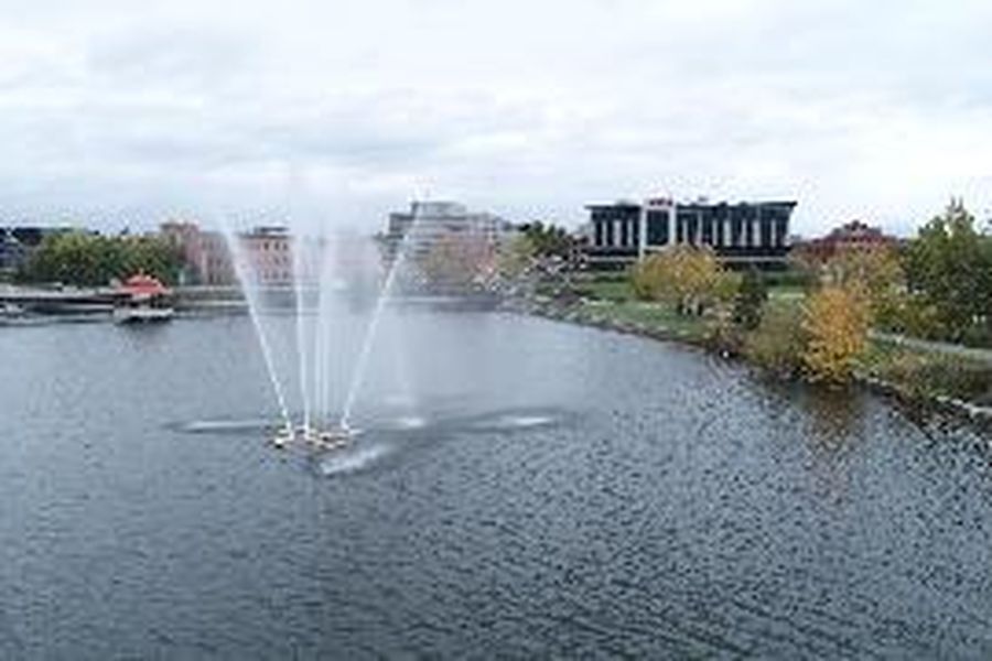 photo-1