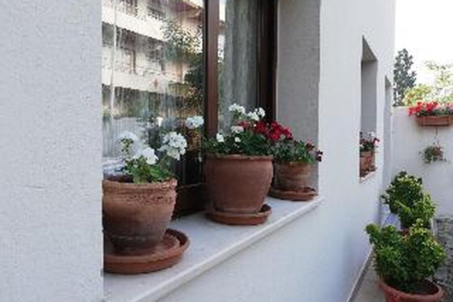 foto-2