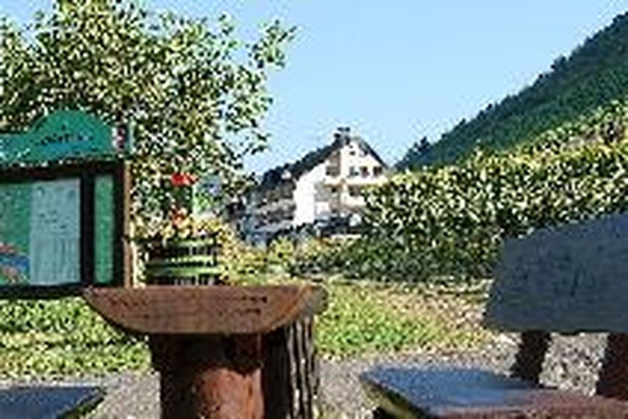 foto-1