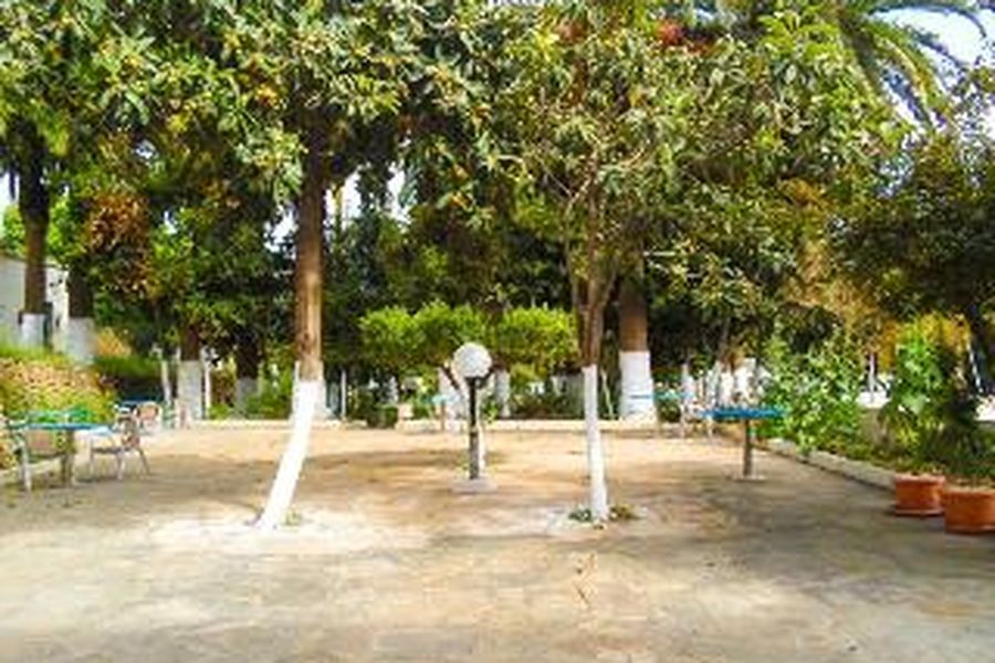foto-3