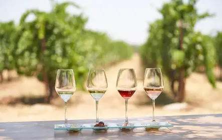 Cata de vinos 'Enoma en Kos