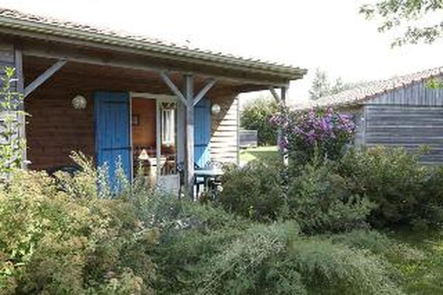foto-3