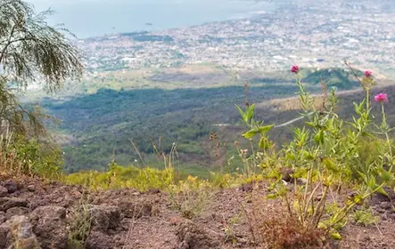 Pompéia e Monte Vesúvio: Entrada + Ida e volta de Nápoles