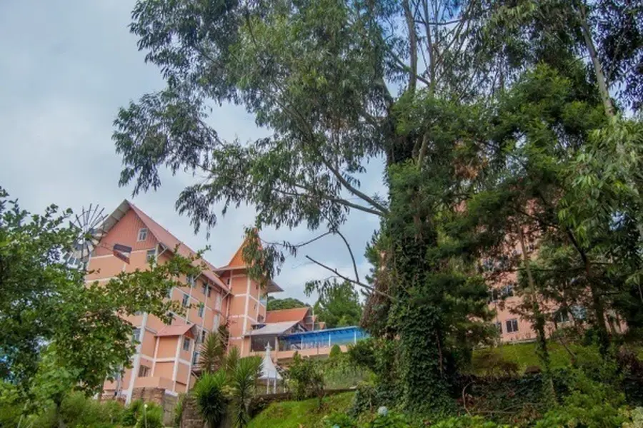 foto-1