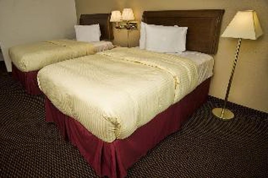 photo-1