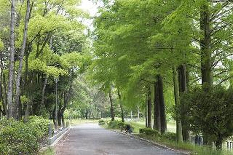 photo-2