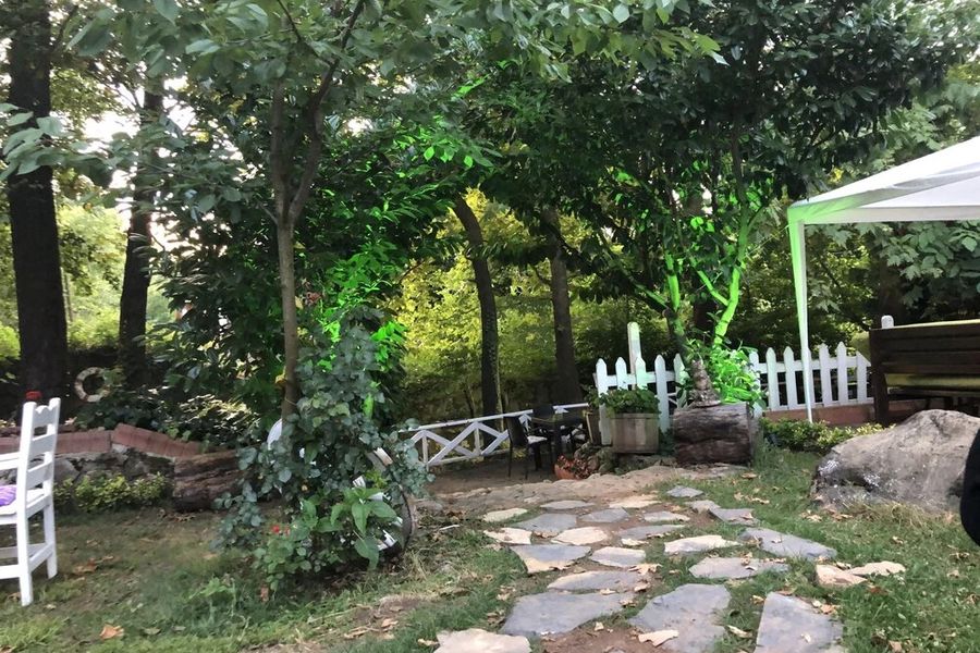 photo-1