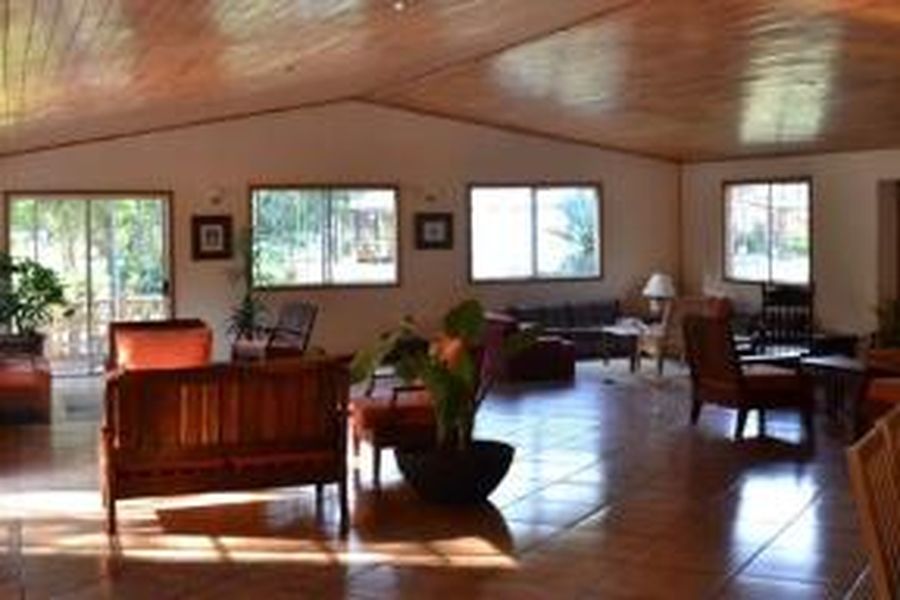 photo-1