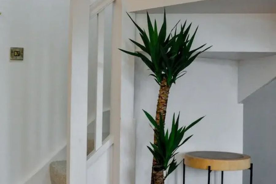 photo-2