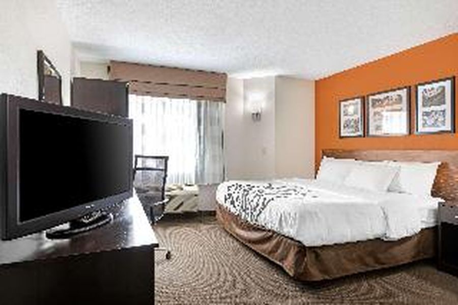 photo-3
