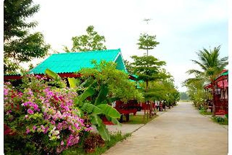 foto-1