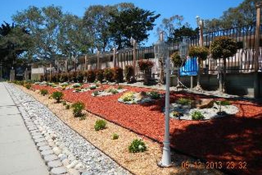 foto-1