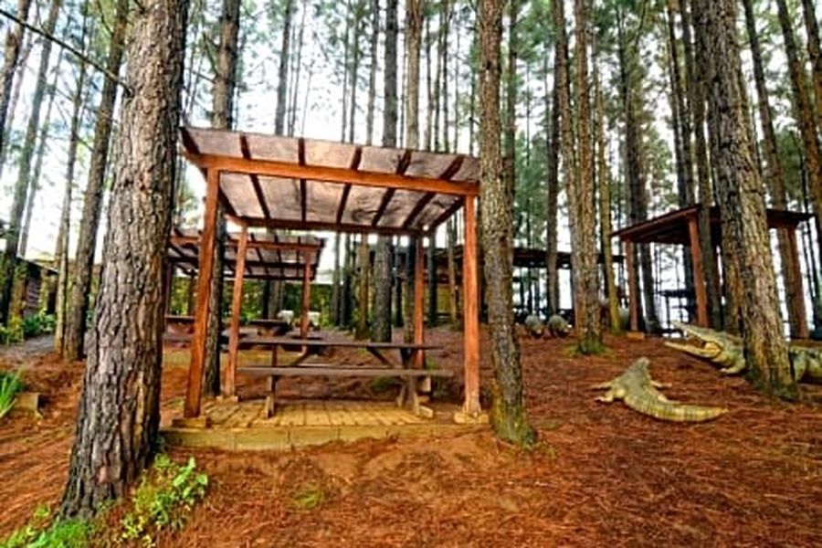photo-2