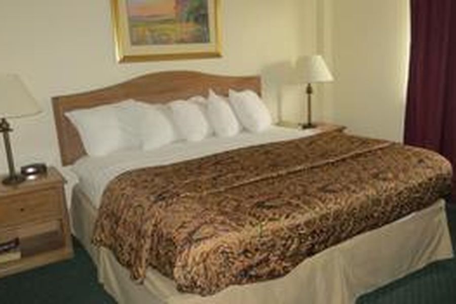 photo-1
