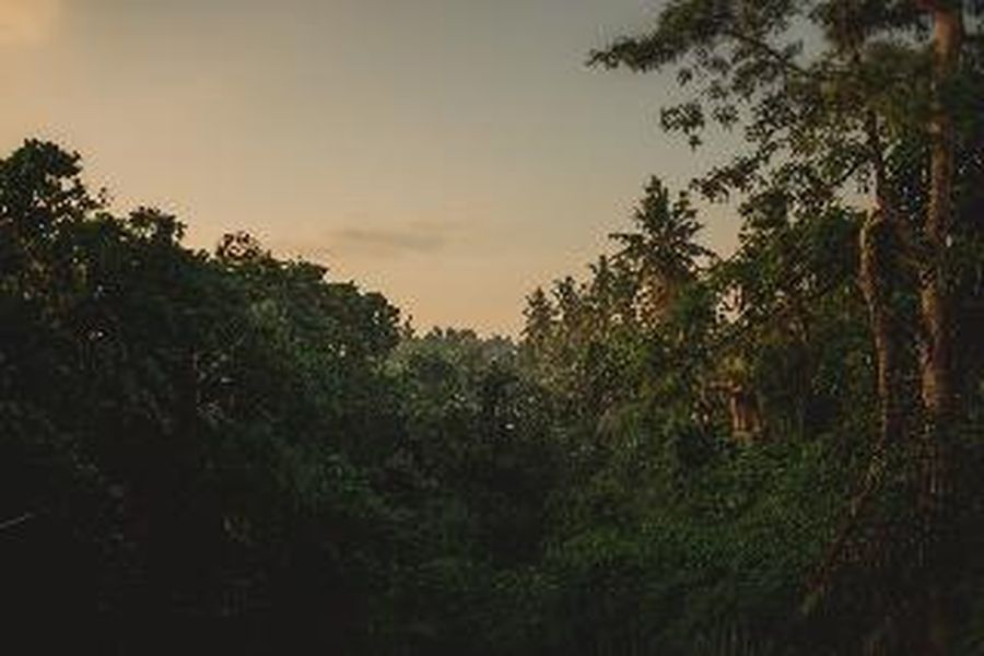 foto-0