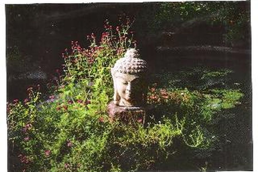 photo-1
