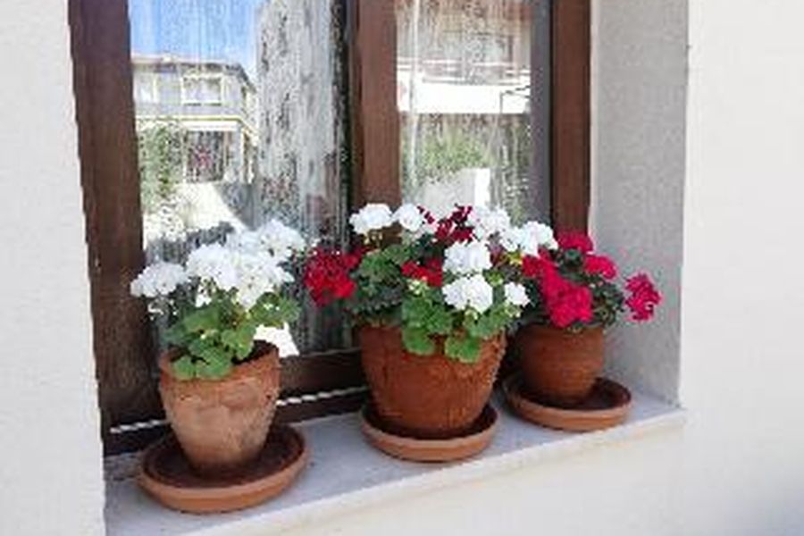 foto-1