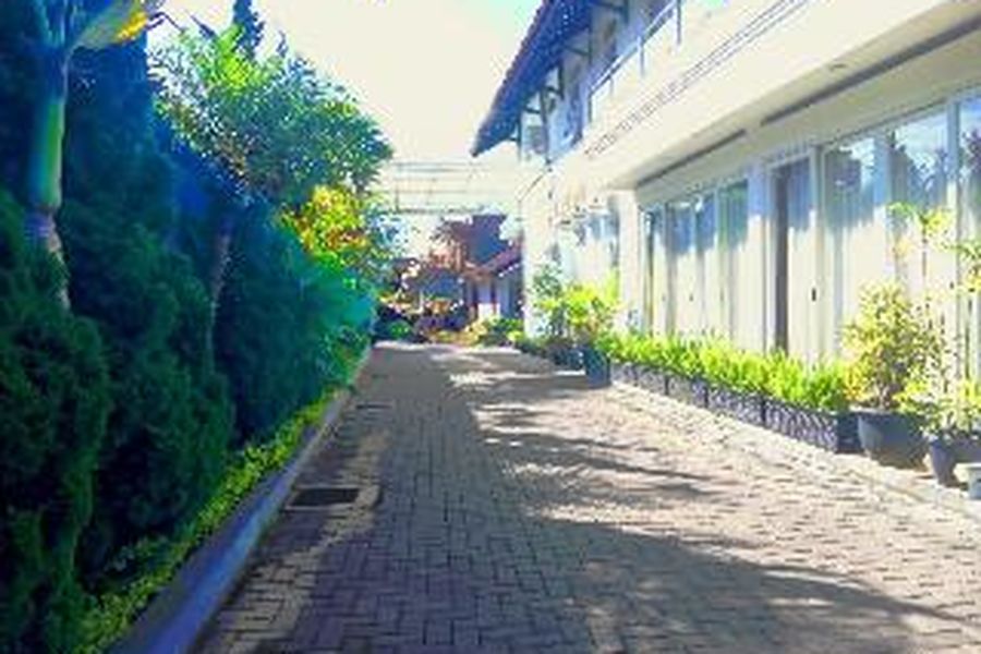 photo-3