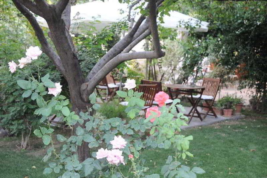 foto-2