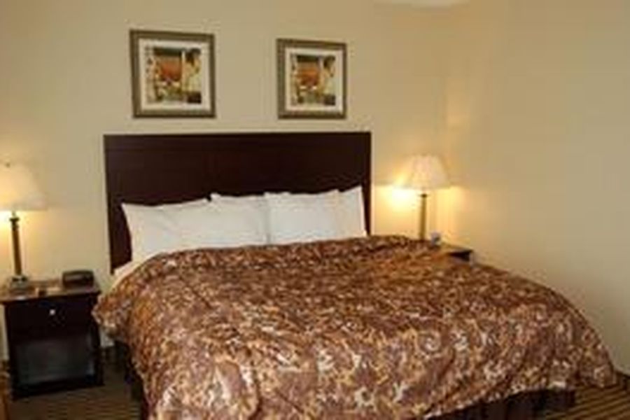 photo-2