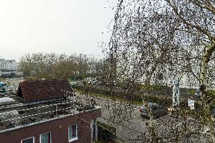 foto-2
