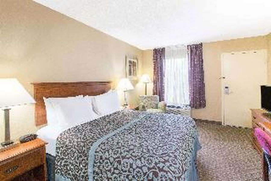 photo-1