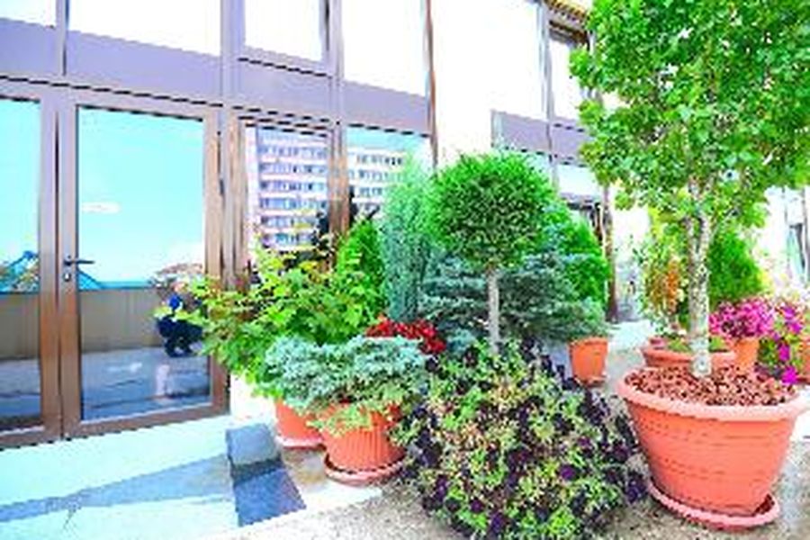 foto-3