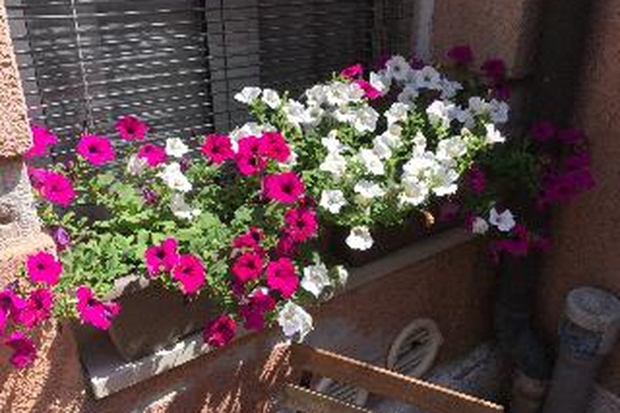 foto-3