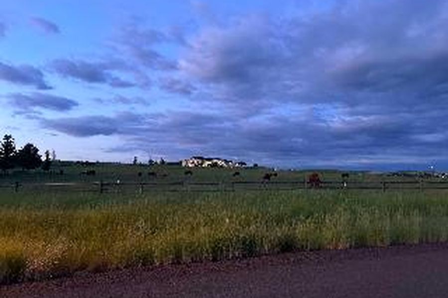 photo-3