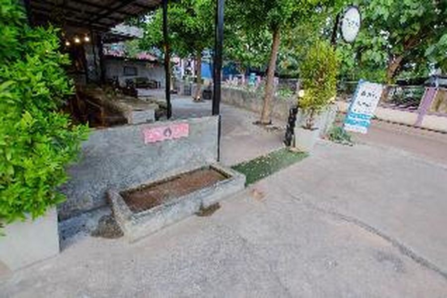 photo-3