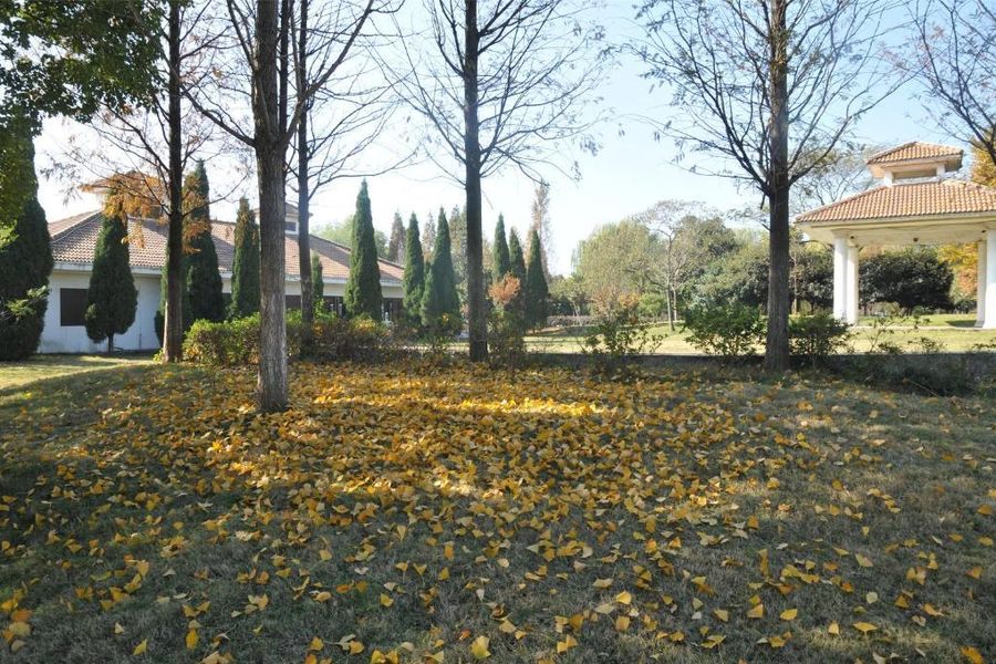 foto-0