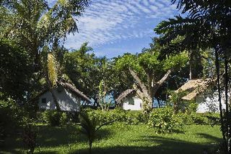 photo-1