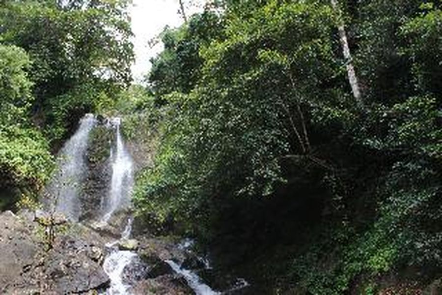 foto-1