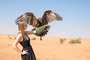 Jovem segurando águia no deserto em Dubai