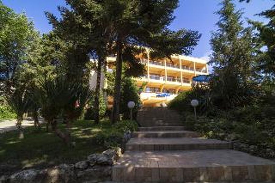 foto-1