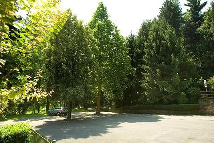 foto-1